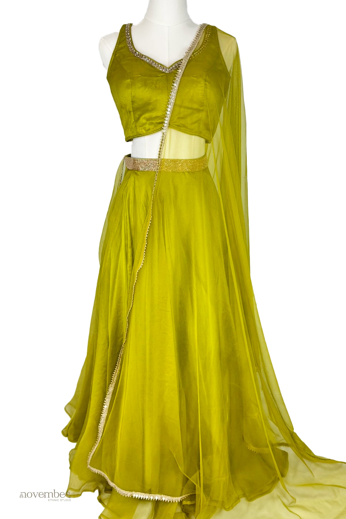 Jade Organza Silk Skirt Set