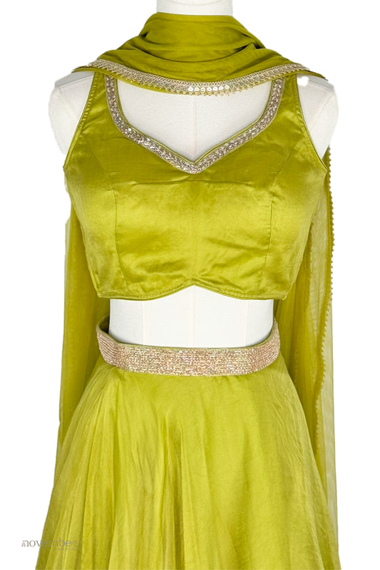Jade Organza Silk Skirt Set