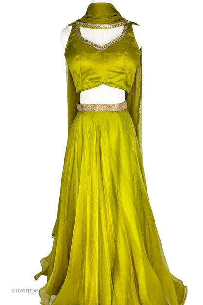 Jade Organza Silk Skirt Set