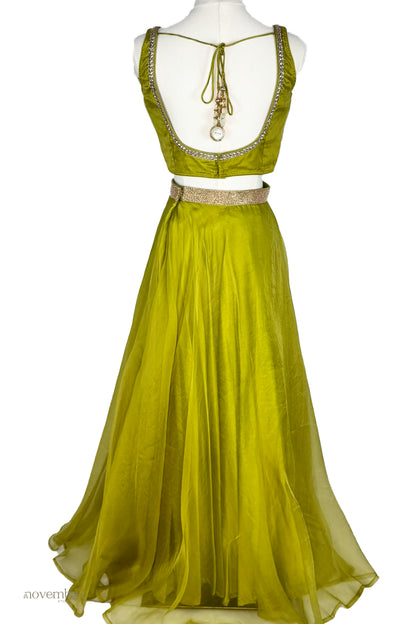 Jade Organza Silk Skirt Set