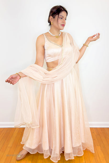 Sona Organza Silk Skirt Sets